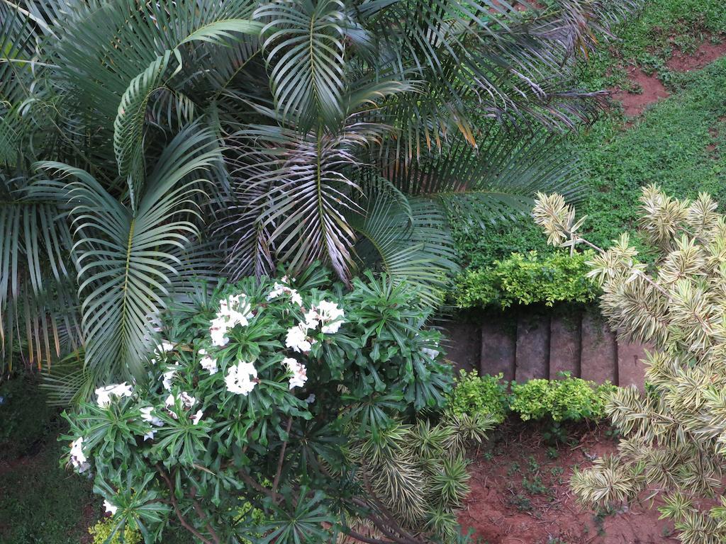 Kandy View Garden Hotel Exterior photo