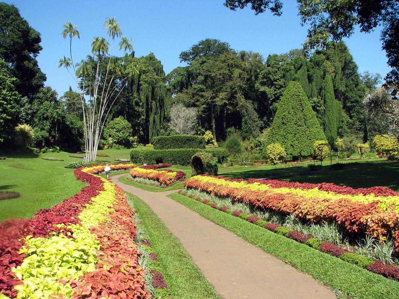 Kandy View Garden Hotel Exterior photo